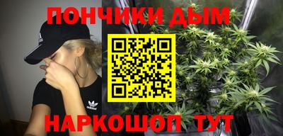 spice Бердск