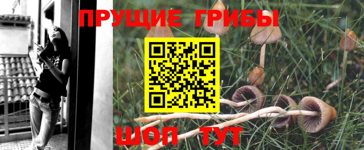 Галлюциногенные грибы ЛСД  Вход с VPN  Галлюциногенные грибы мицелий  Кубинка 