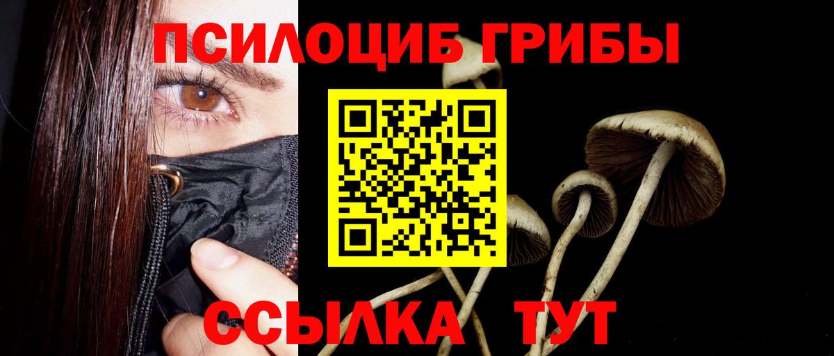 Галлюциногенные грибы Cubensis Кубинка
